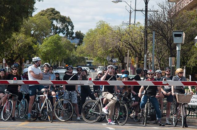 Treadly's annual Boucle De Burbs rolls into town next month, with over 500 trusty steeds hauling about Adelaide's best laneways and backstreets. Treadly Bike Hire is offering free hire for the duration of the event. Check link in the bio for full details. .
.
#seesouthaustralia #ichoosesa #adelaideevents #treadlybikeshop #treadlybikehire #boucledeburbs #bikes