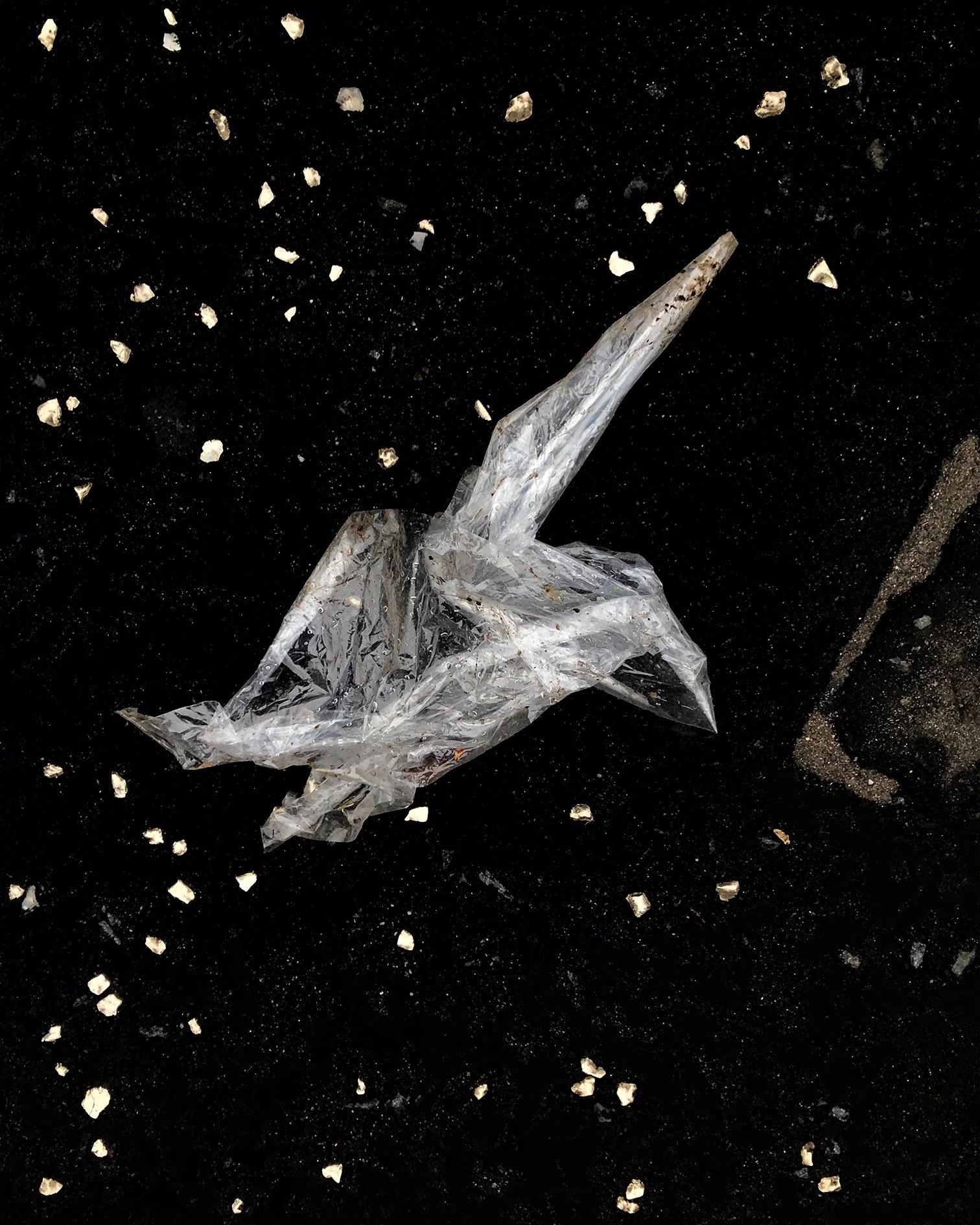 #02B / Head down Ayr 