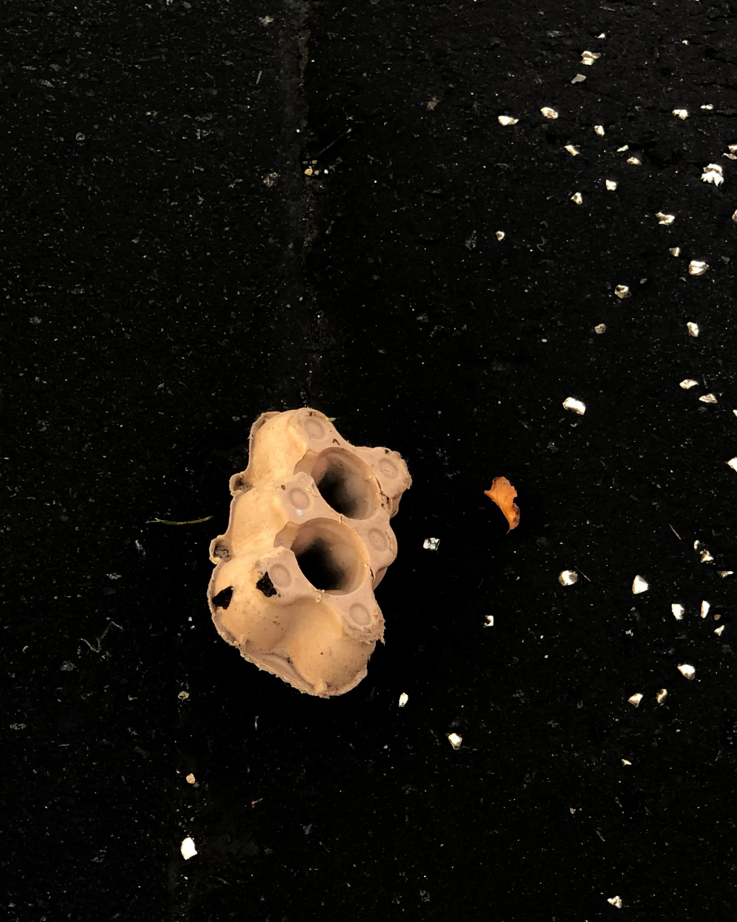 #14E / Head down Ayr 