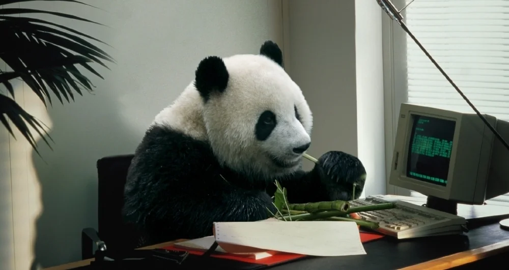 100 Facts About Pandas