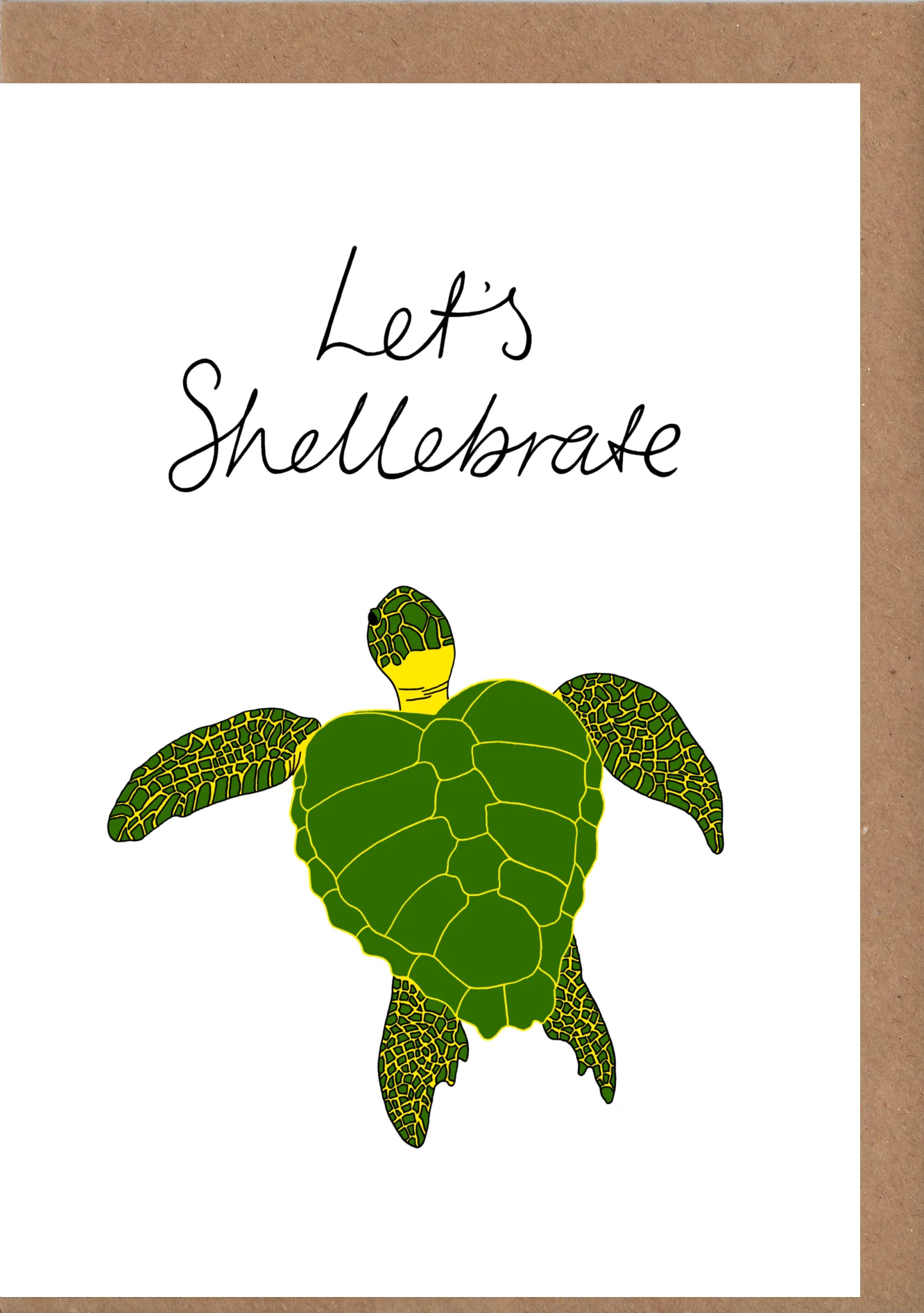turtleshell.jpg