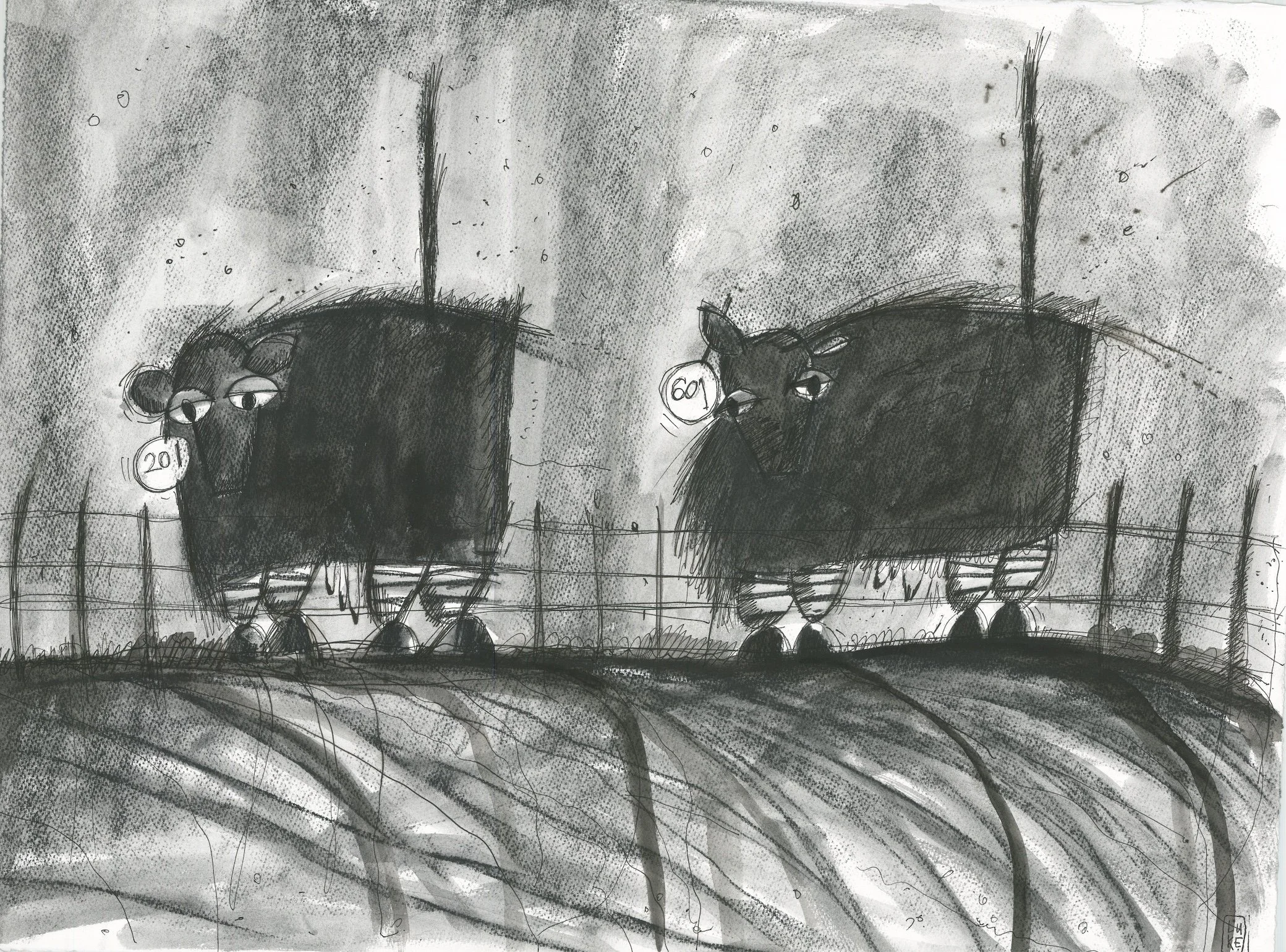 Image 24-11-2023 at 11.00 am.JPG