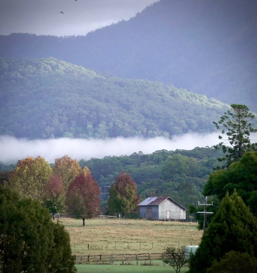 Bellingen morning 

#countryside #countryroad #bellingen #nsw #australia