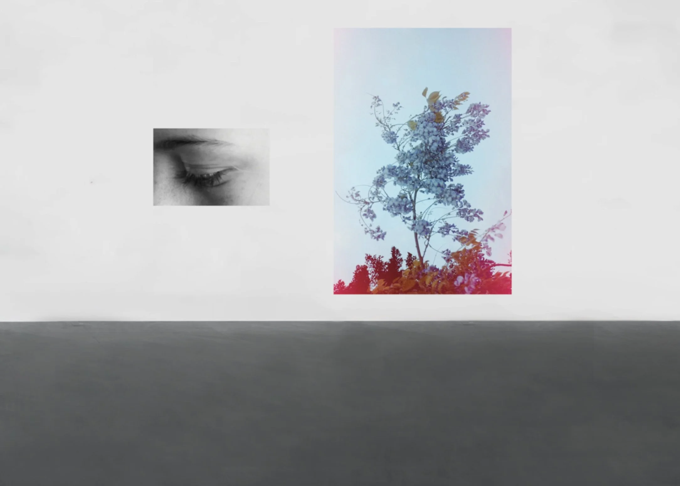 installation_08.jpg