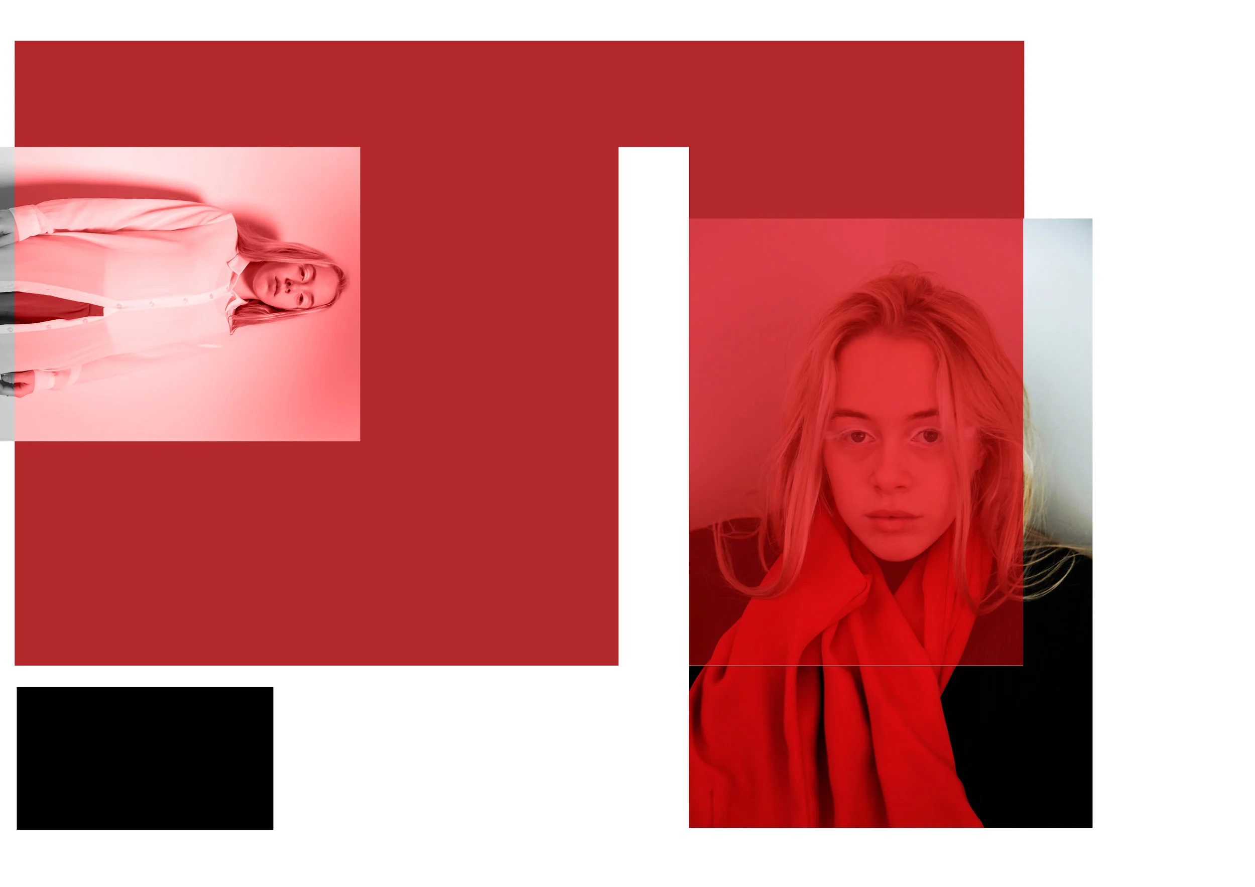 Jakubowski Collage.jpg