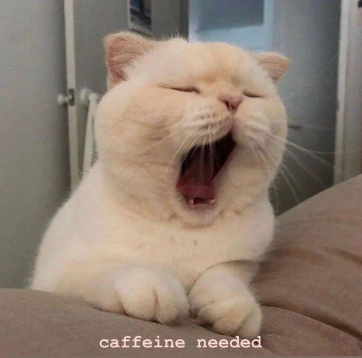 Happy Monday 🥱☕️