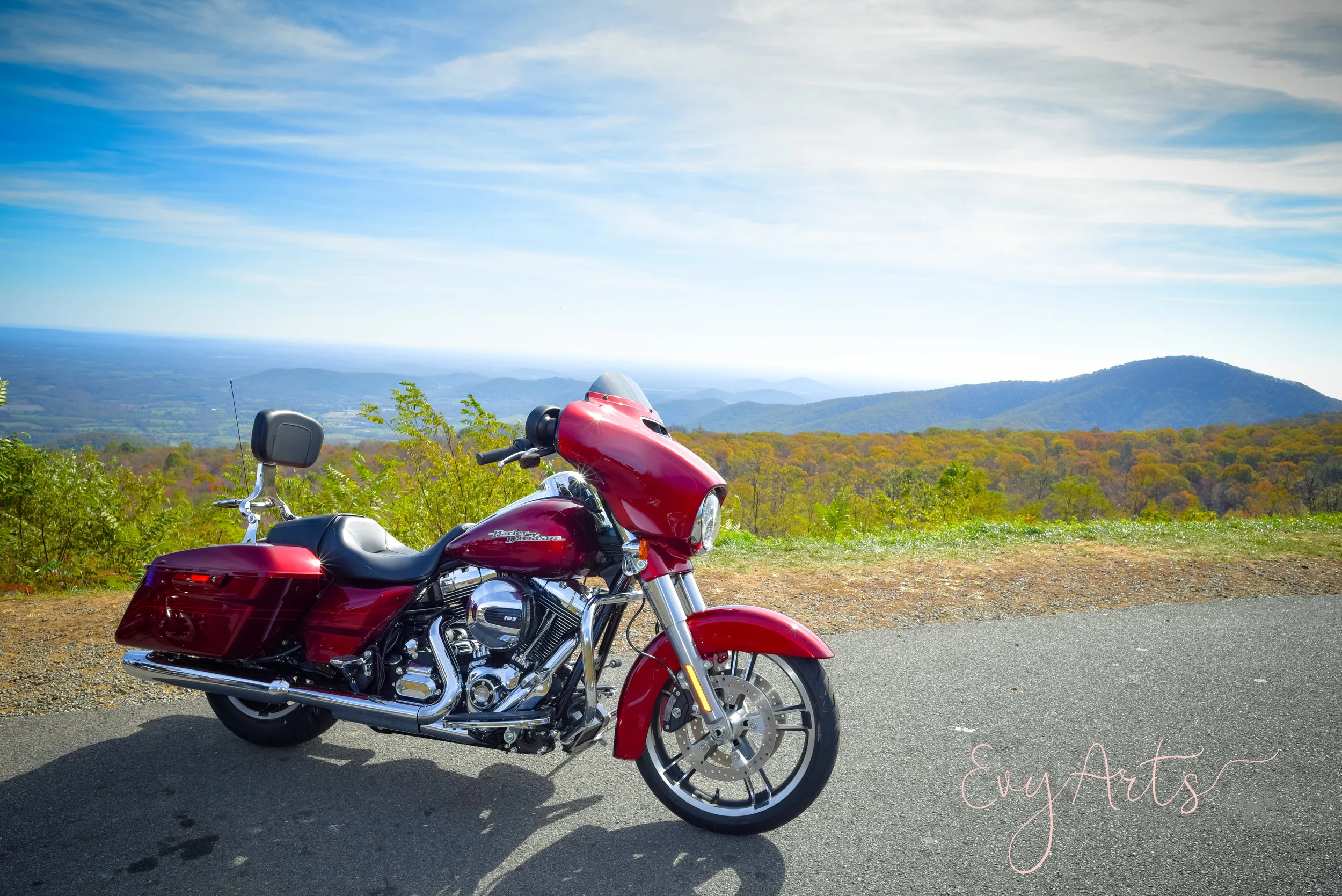 DSC_0423.jpg