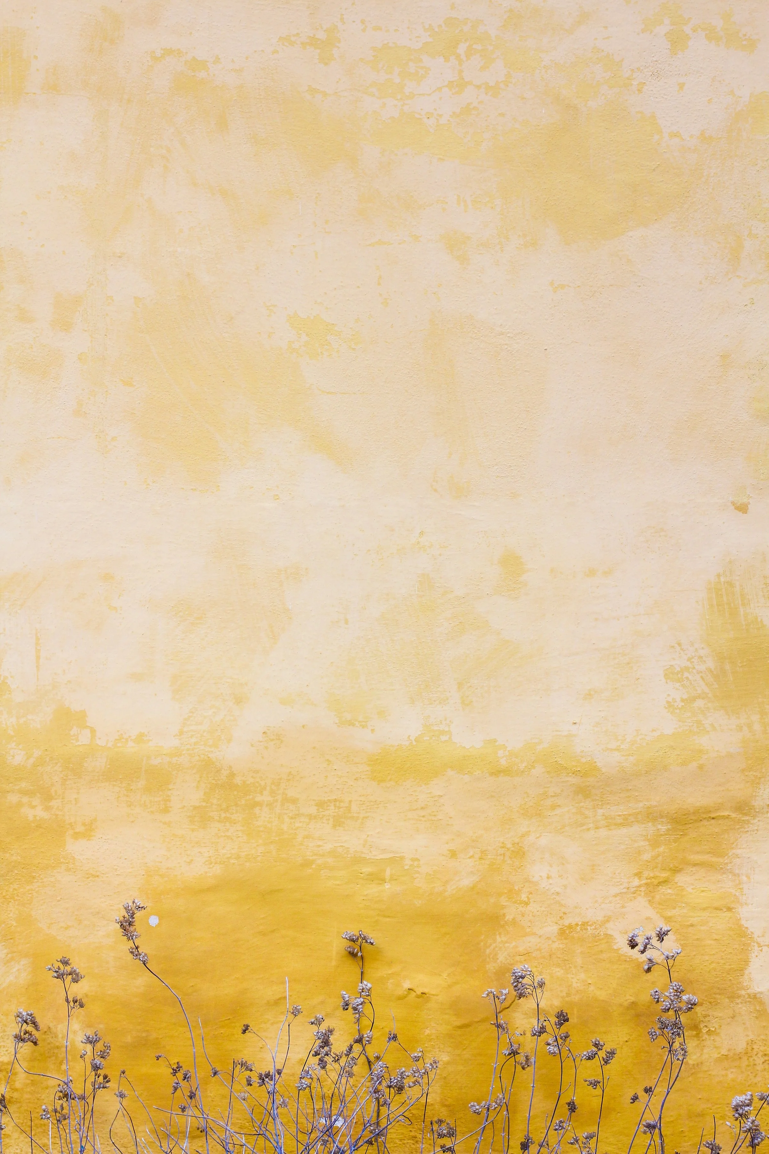 yellow wall.jpg
