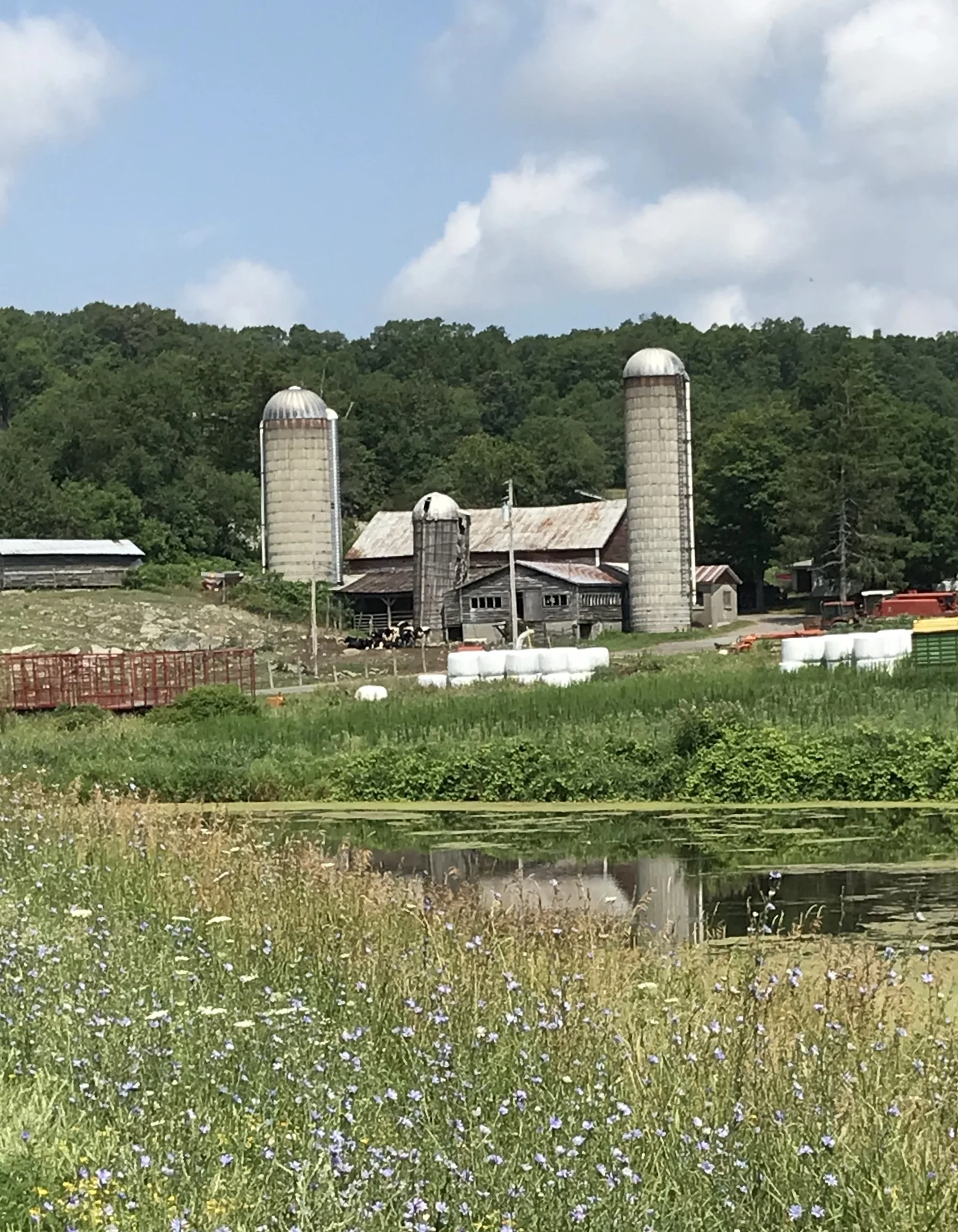 The secretive Snyderville Space Center preparing for another launch of cows into space. It is the only facility in the world using cowstronauts. 