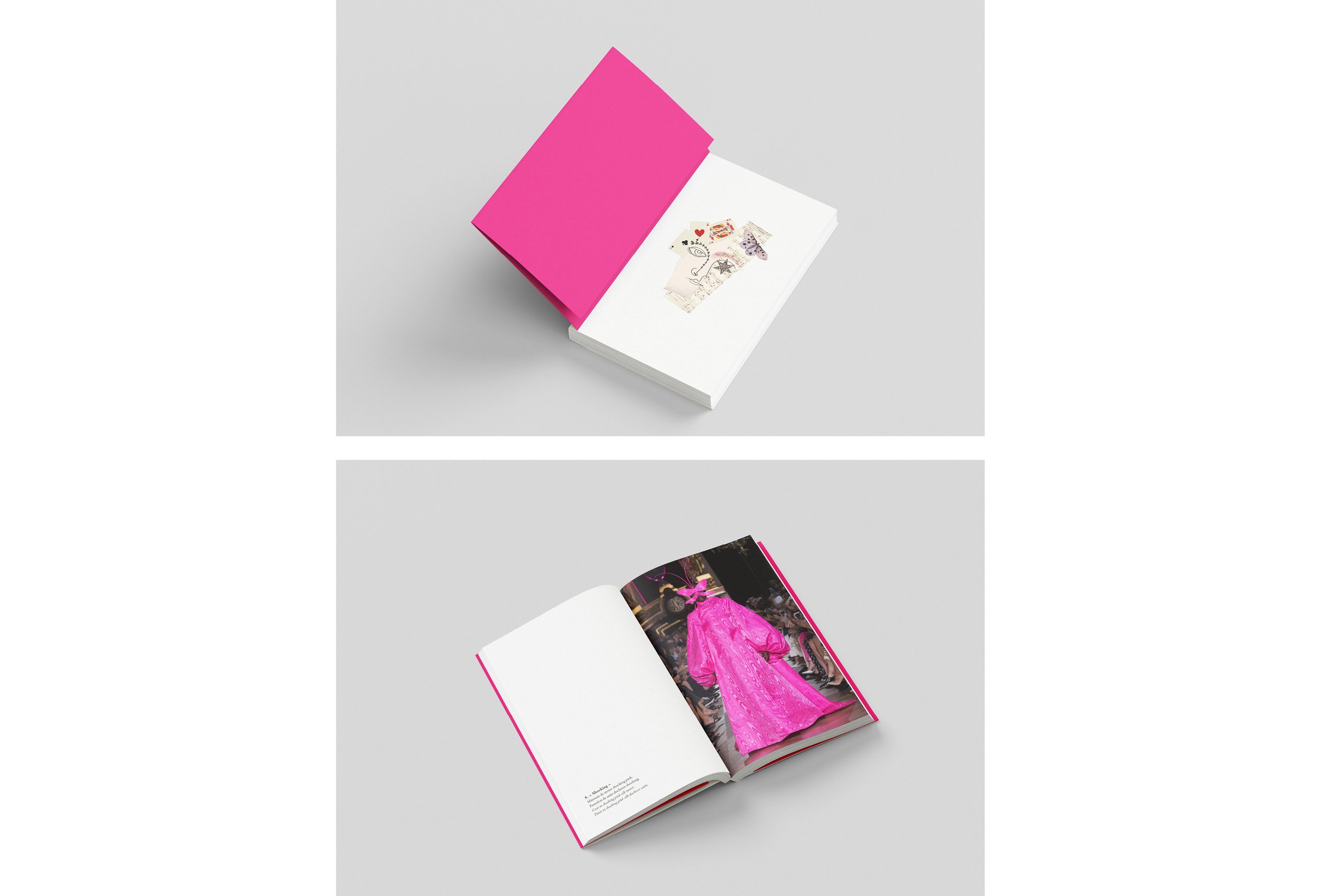 Schiaparelli10.jpg