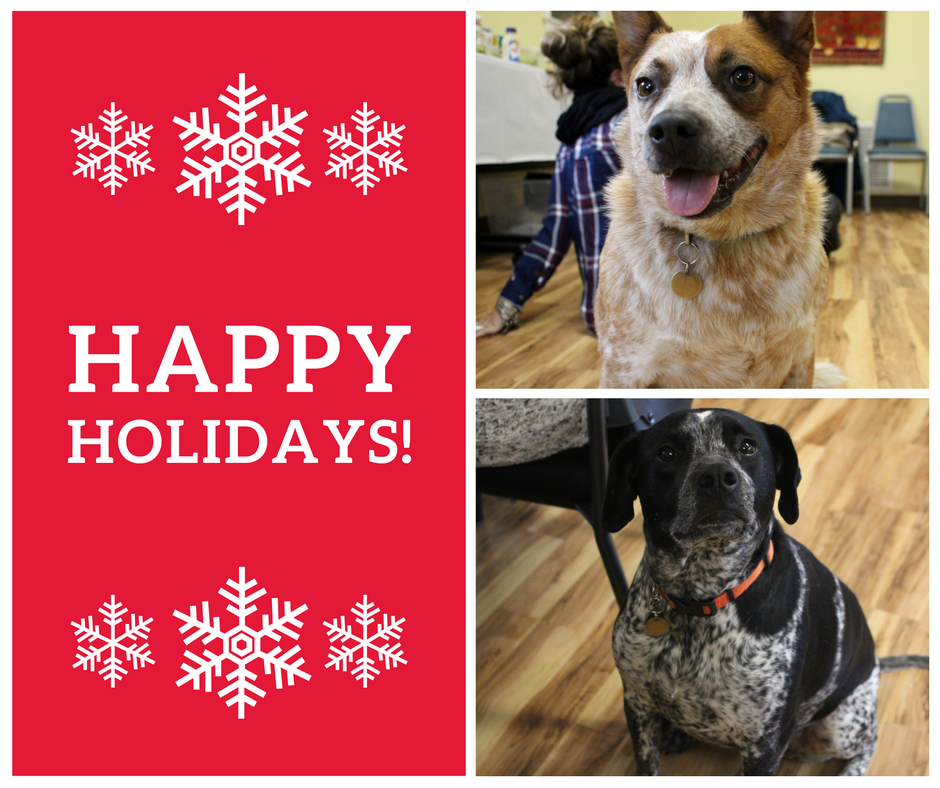 SRIV's Annual Holiday Luncheon for Office Volunteers