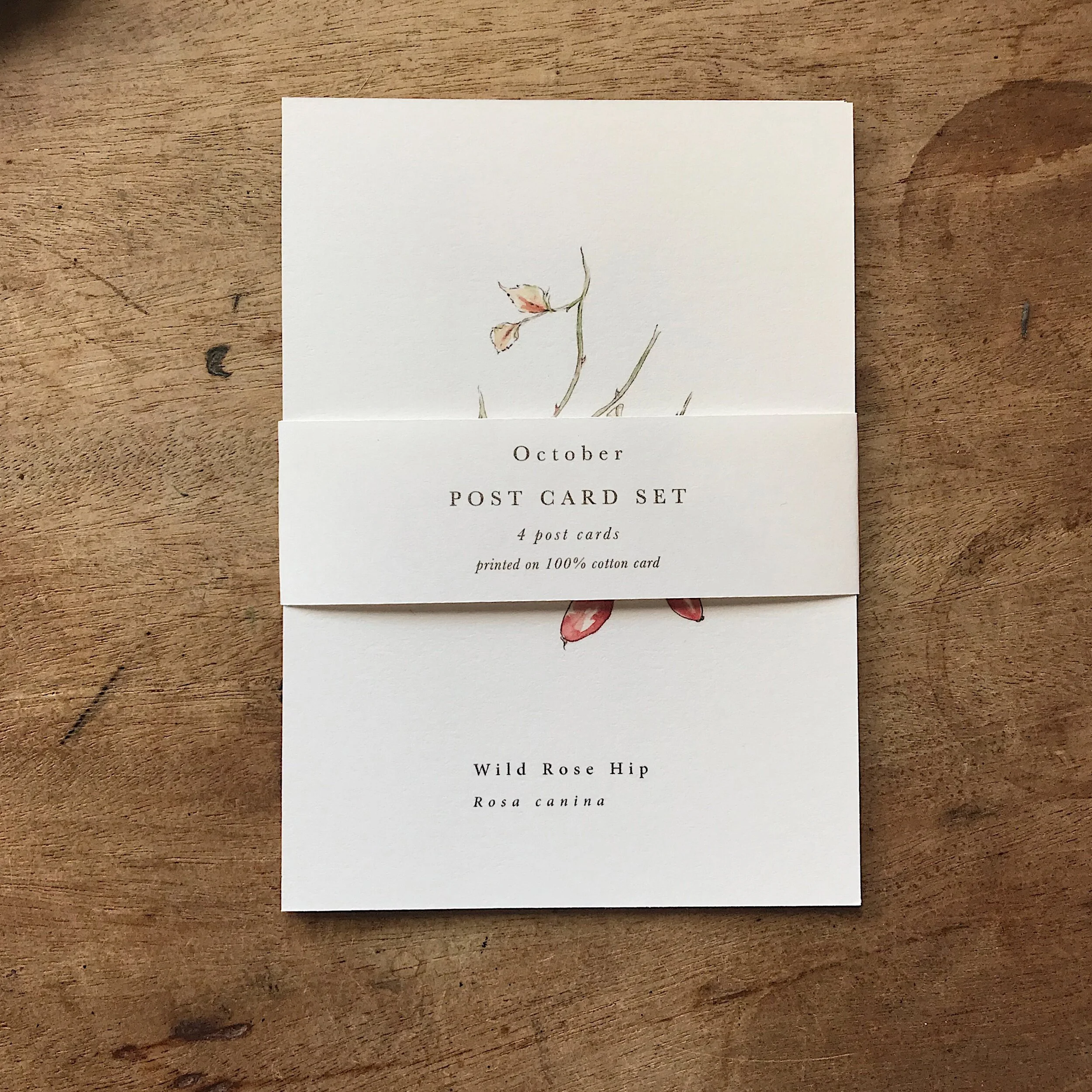 F3366760-0F97-432D-BA98-38C852FE1AA6