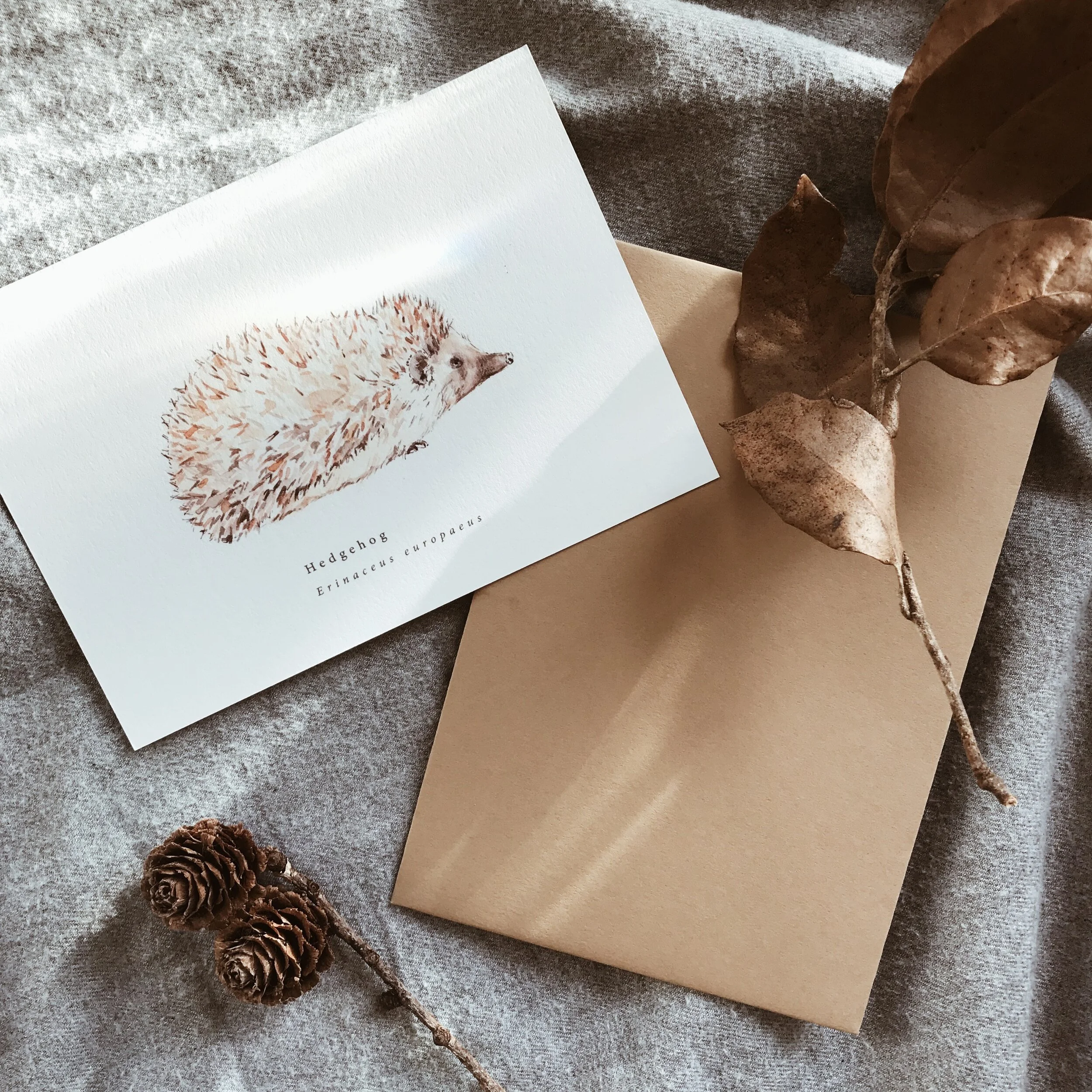 2C9753A3-D768-4A27-97BE-A8D797F05E52