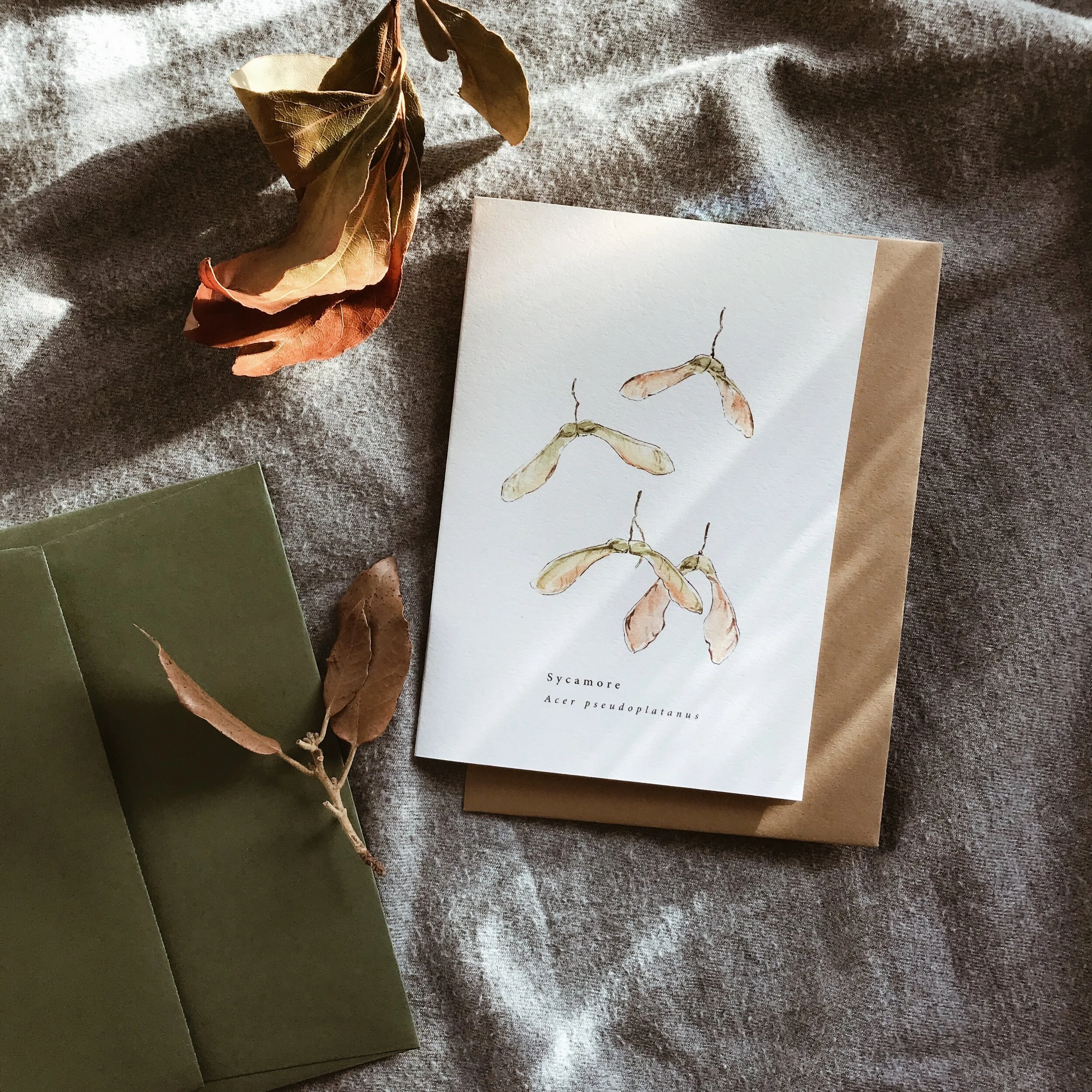 5837D166-A85B-427B-8EC0-AD68C18E2B23