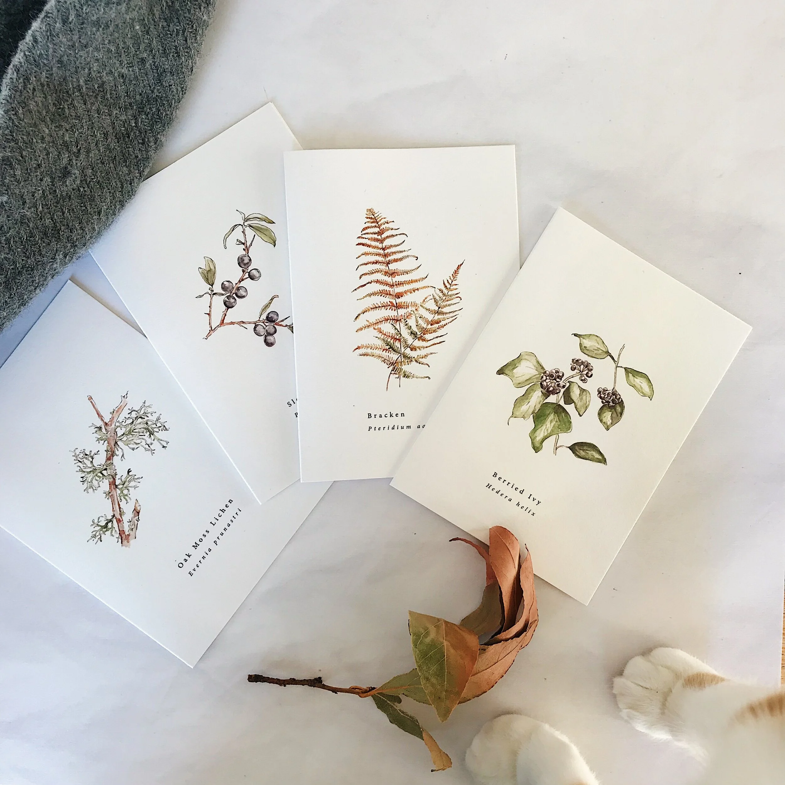 5501C830-92BE-4894-ABF4-DF5CDD0380B4