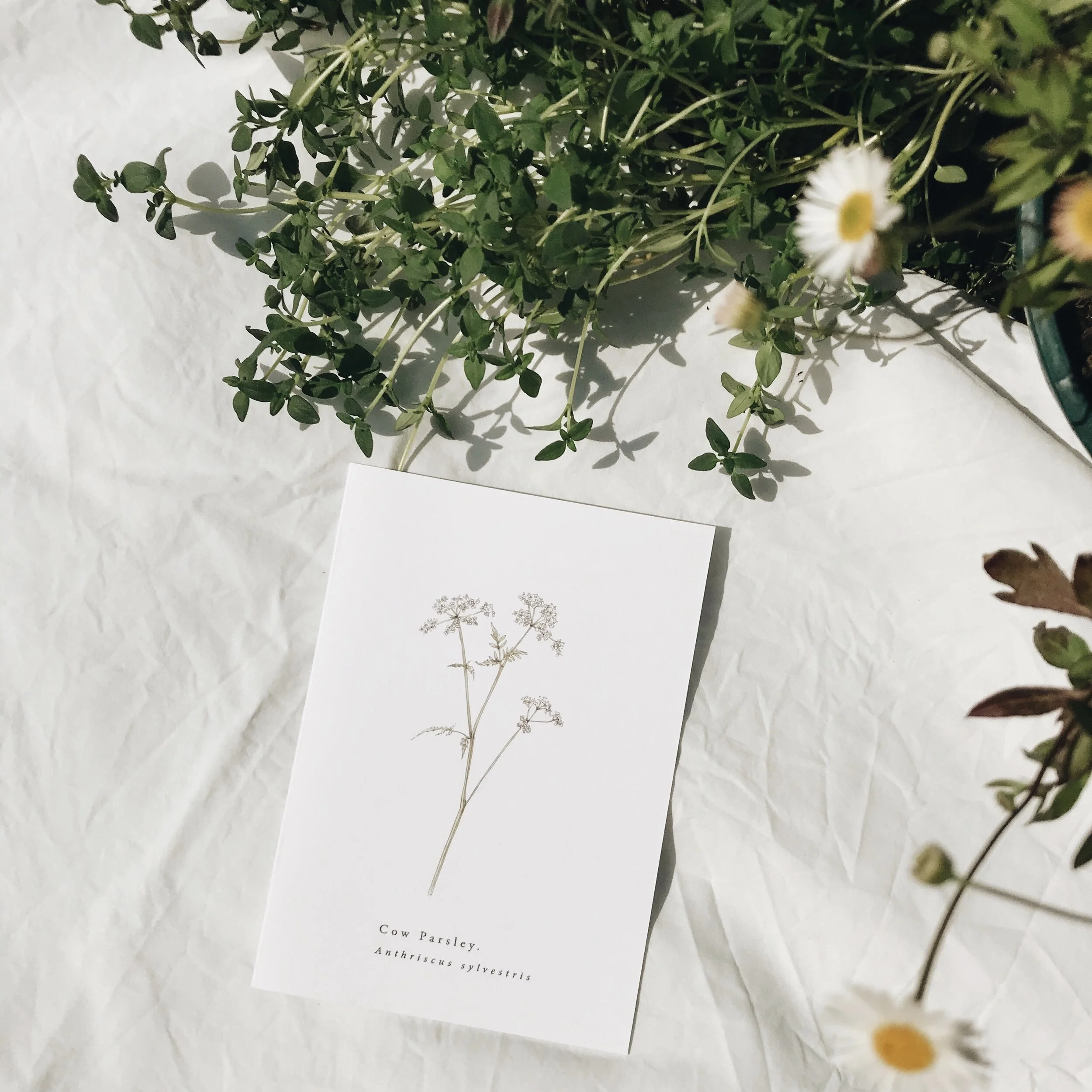 5222D7E9-4202-4636-A5A7-149CF92AB2BF