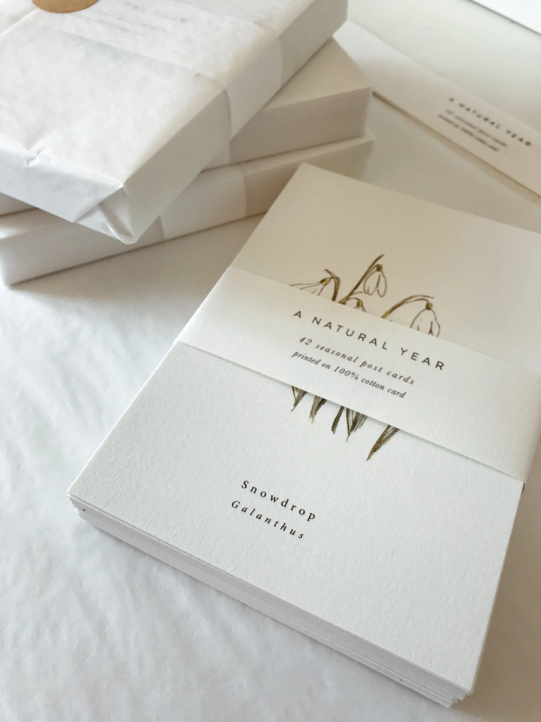 5DD042F1-3221-4AE4-ABCF-750ED9A24536