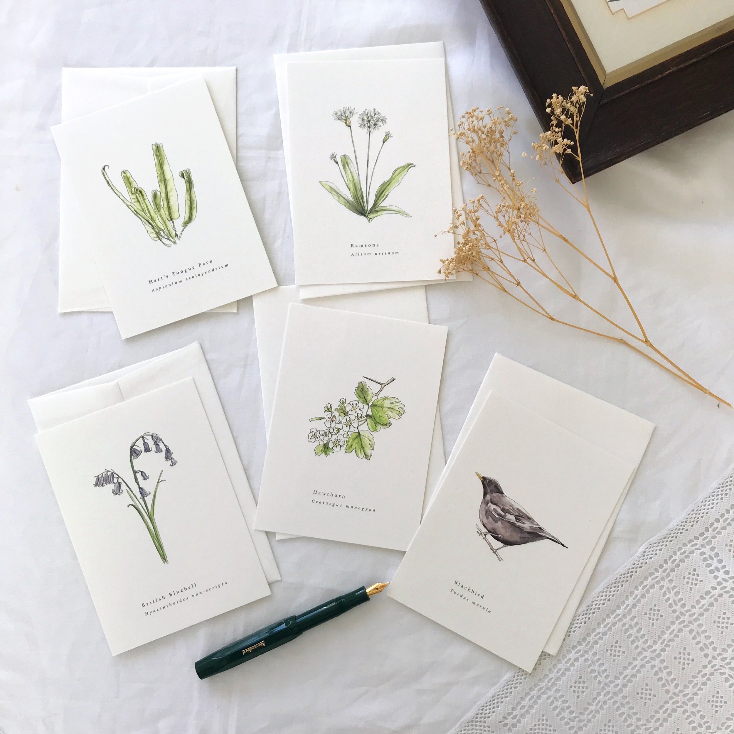May Spring Seasonal Botanical Watercolour Illustrated Greetings Card Set.jpg