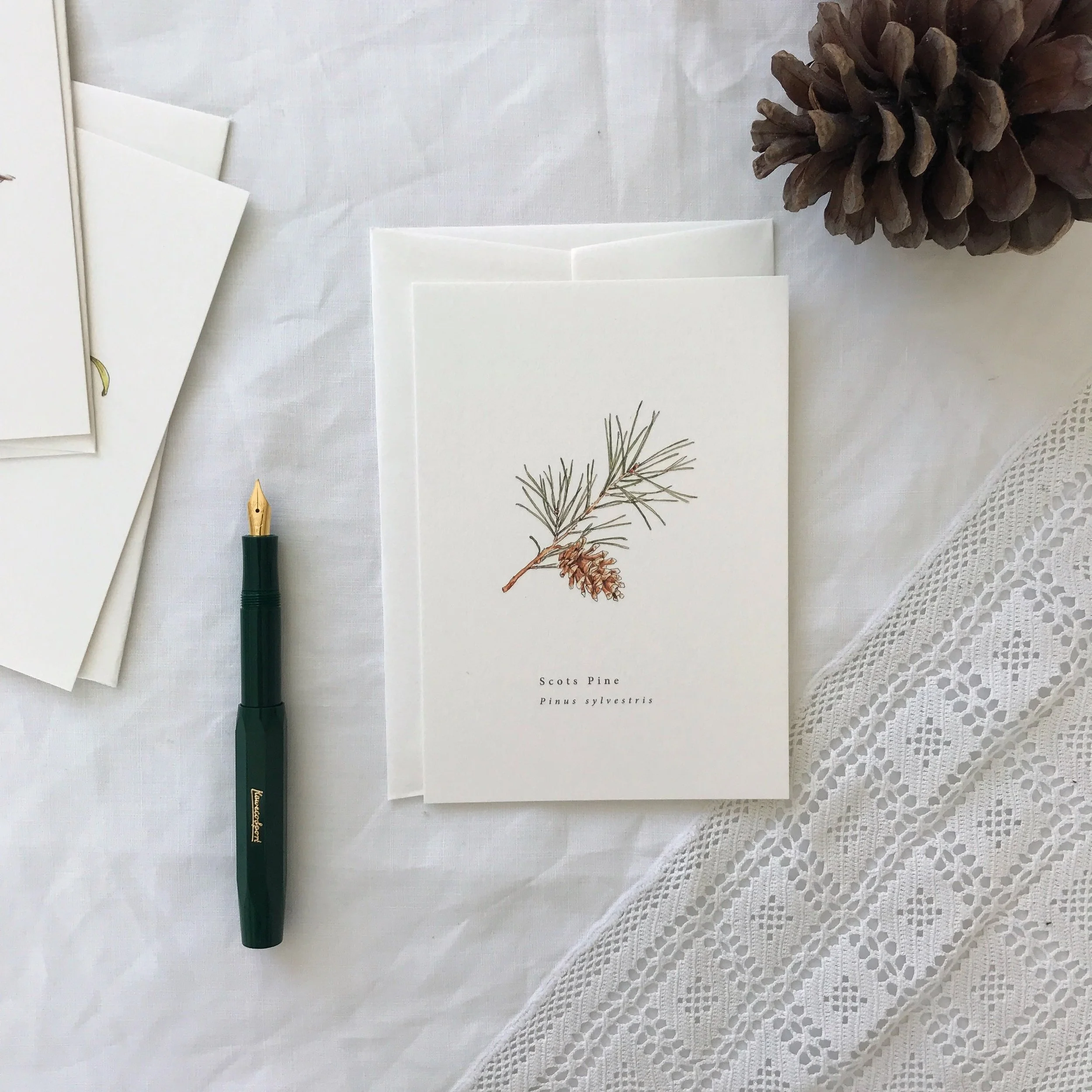 Pine Branch and Pinecone Watercolour Botanical Christmas Card.jpg