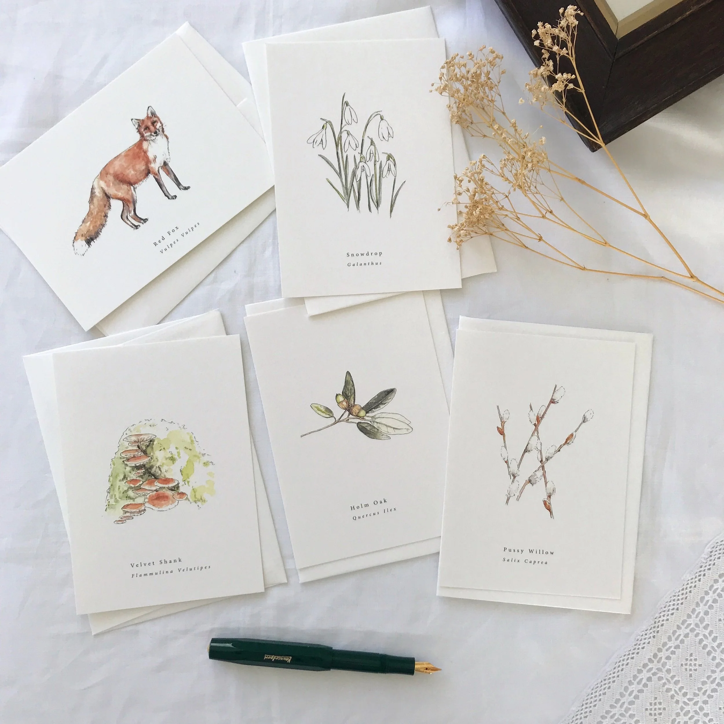Early Spring Botanical Watercolour Illustrated Greetings Card Set.jpg