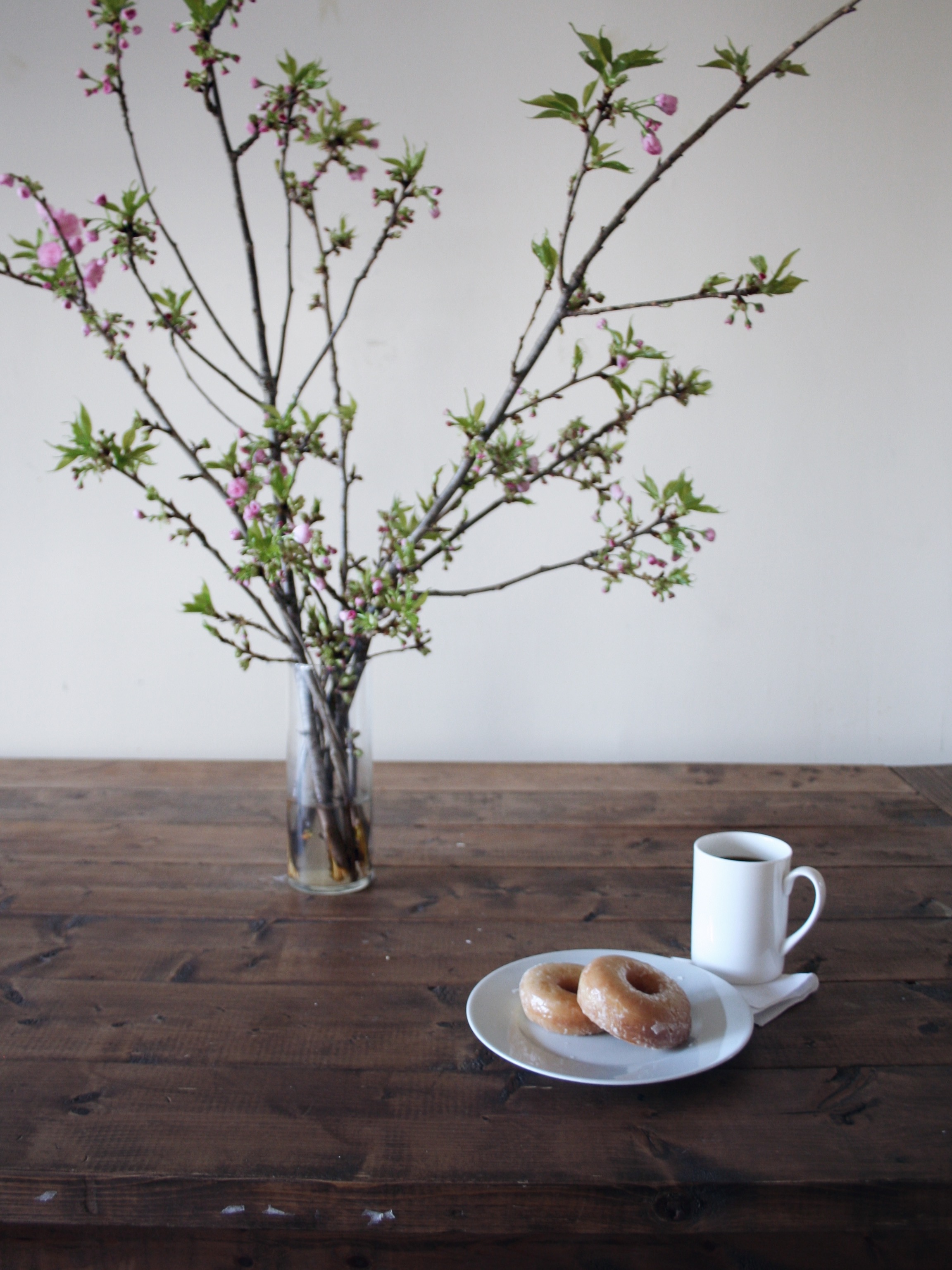 Slow Sunday: Donuts, coffee, and Kwanzan blossoms
