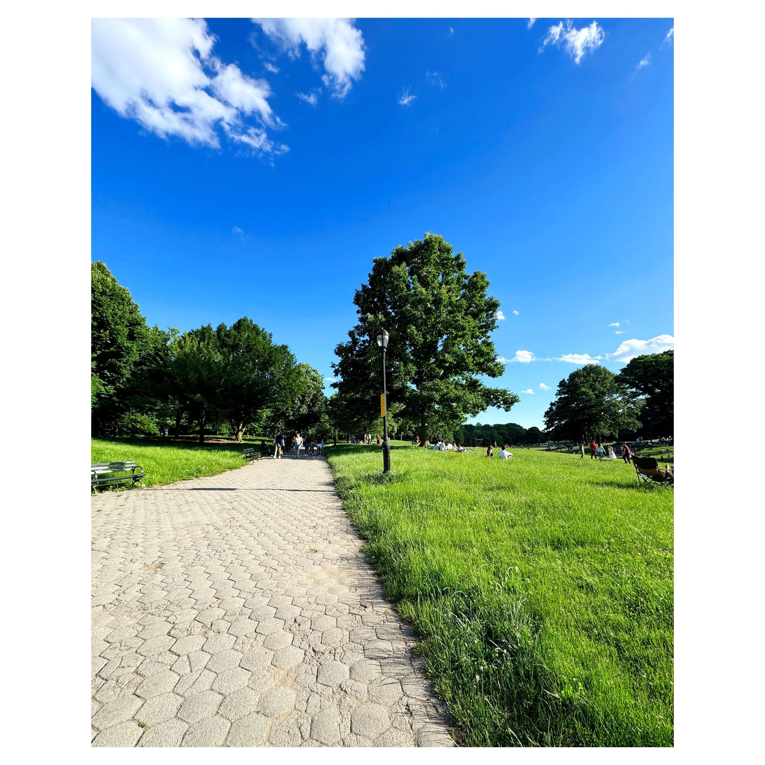 Designing your  Summer