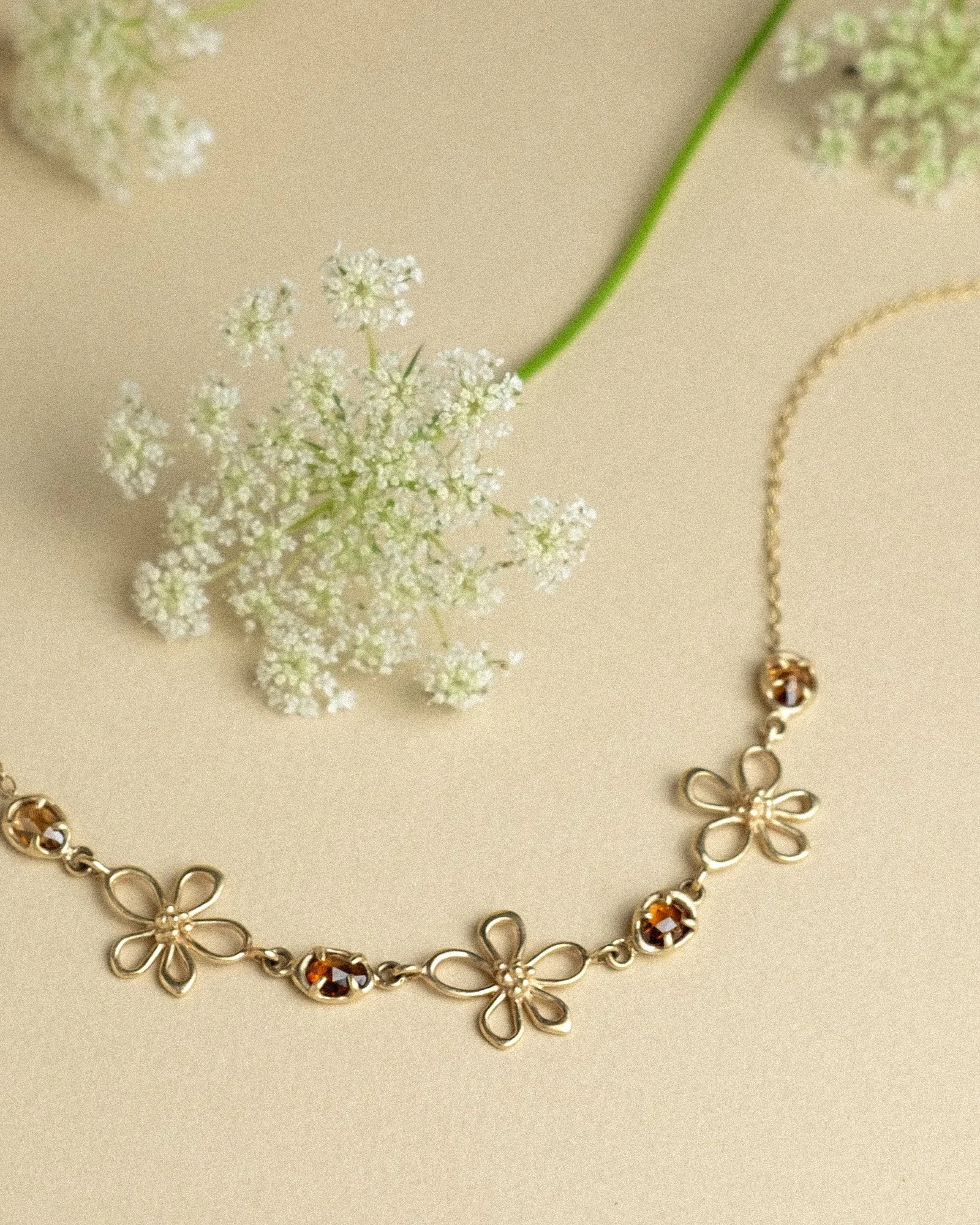 LateSummerBlooms4.jpg