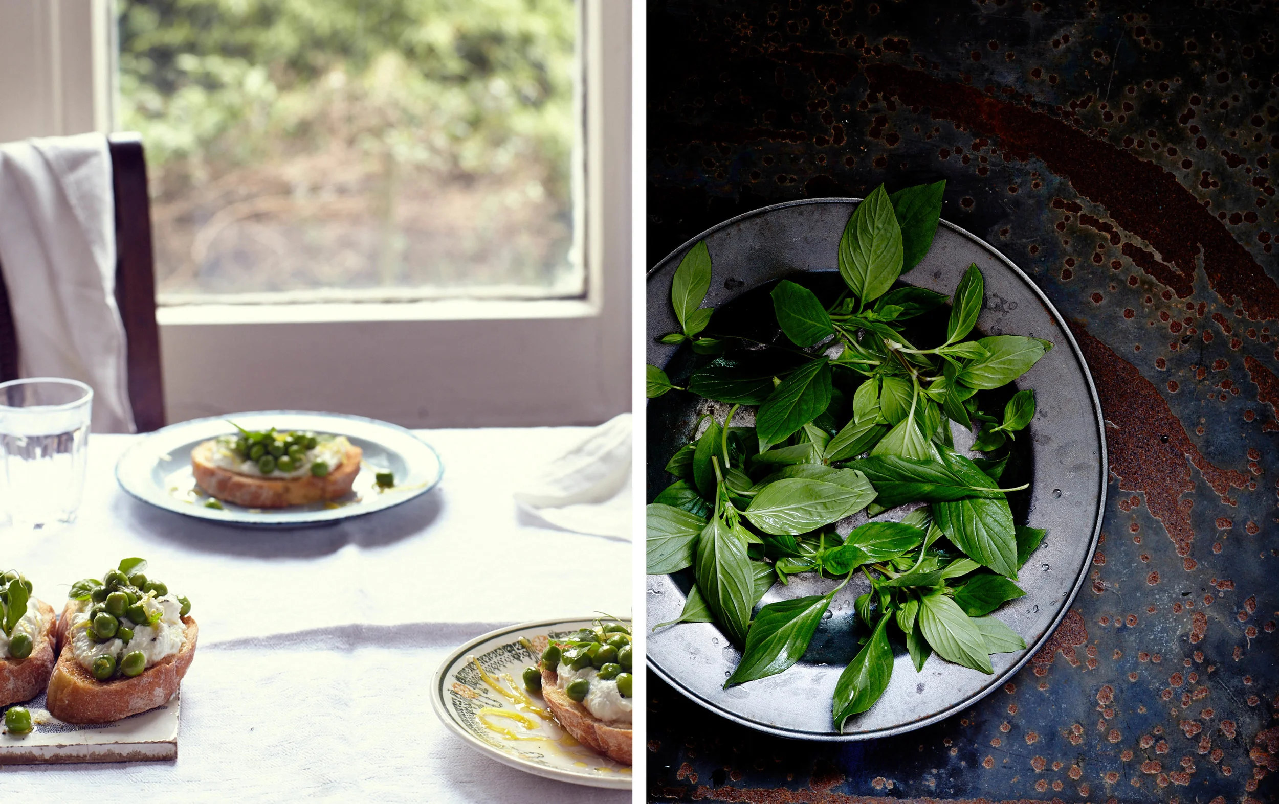 pea starter pair.jpg