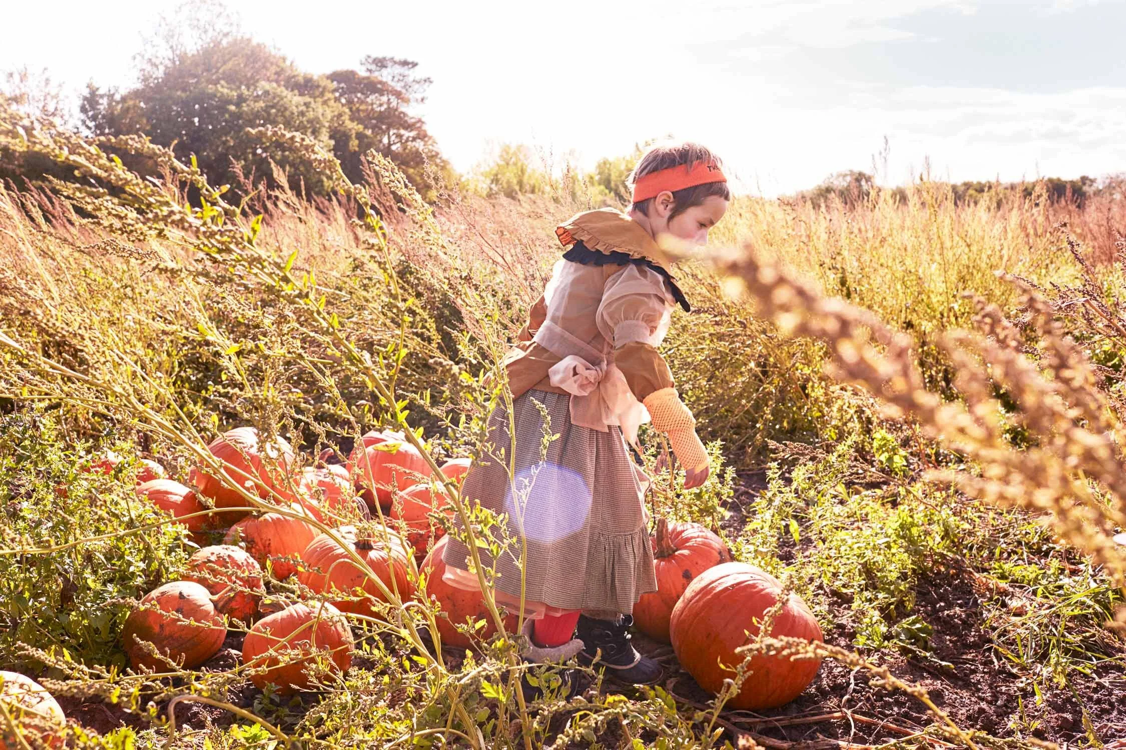 Milk-mag-pumpkins-5.jpg