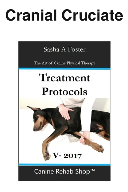 Cranial Cruciate Individual Treatment Protocol