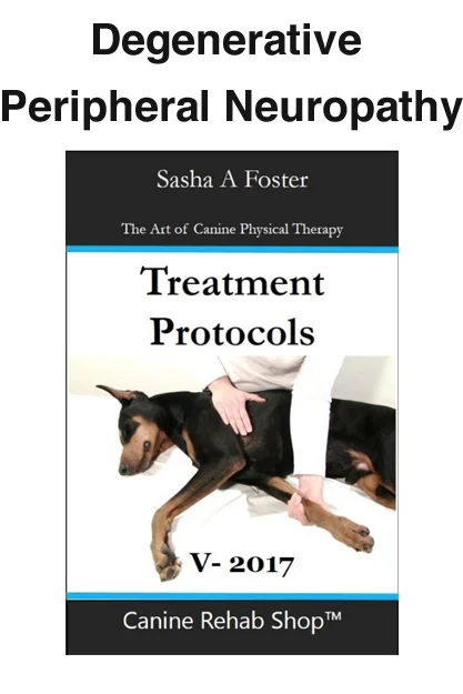 Degenerative Peripheral Neuropathy Individual Treatment Protocol