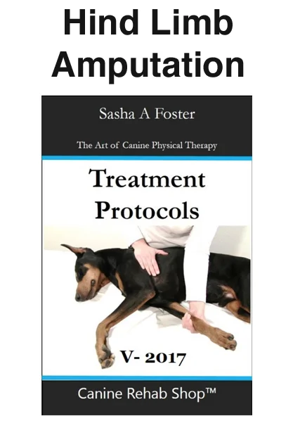 Hind Limb Amputation Individual Treatment Protocol