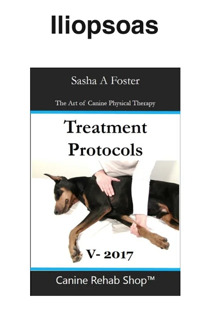 Iliopsoas Individual Treatment Protocol