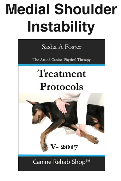 Medial Shoulder Instability Individual Treatment Protocol