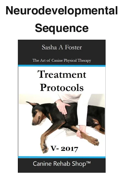 Neurodevelopmental Sequence