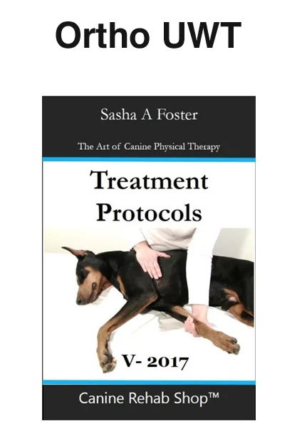 Orthopedic UWT Individual Treatment Protocol