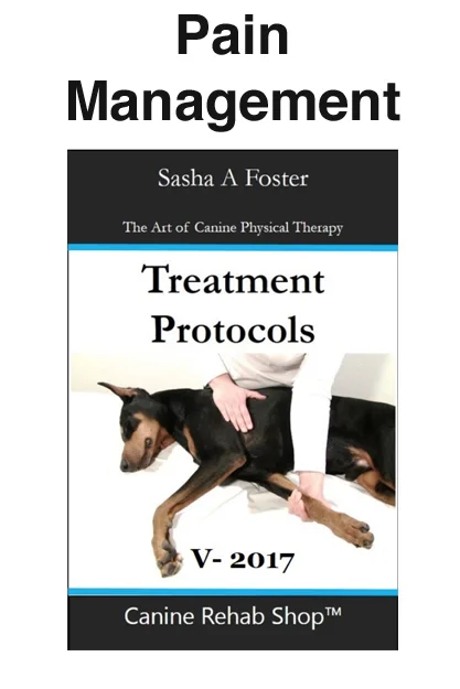 Pain Management Individual Protocol