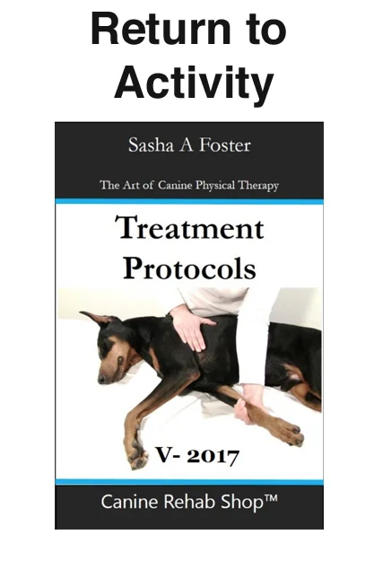 Graded Return to Activity Schedule