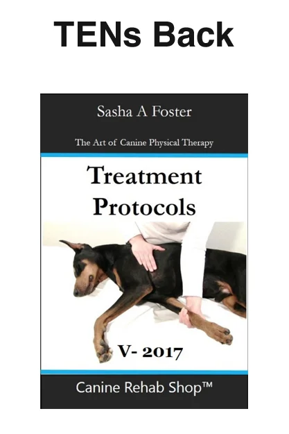 TENS Instructions for Back