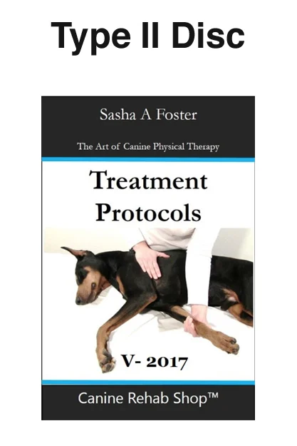 Type II Disc Individual Treatment Protocol