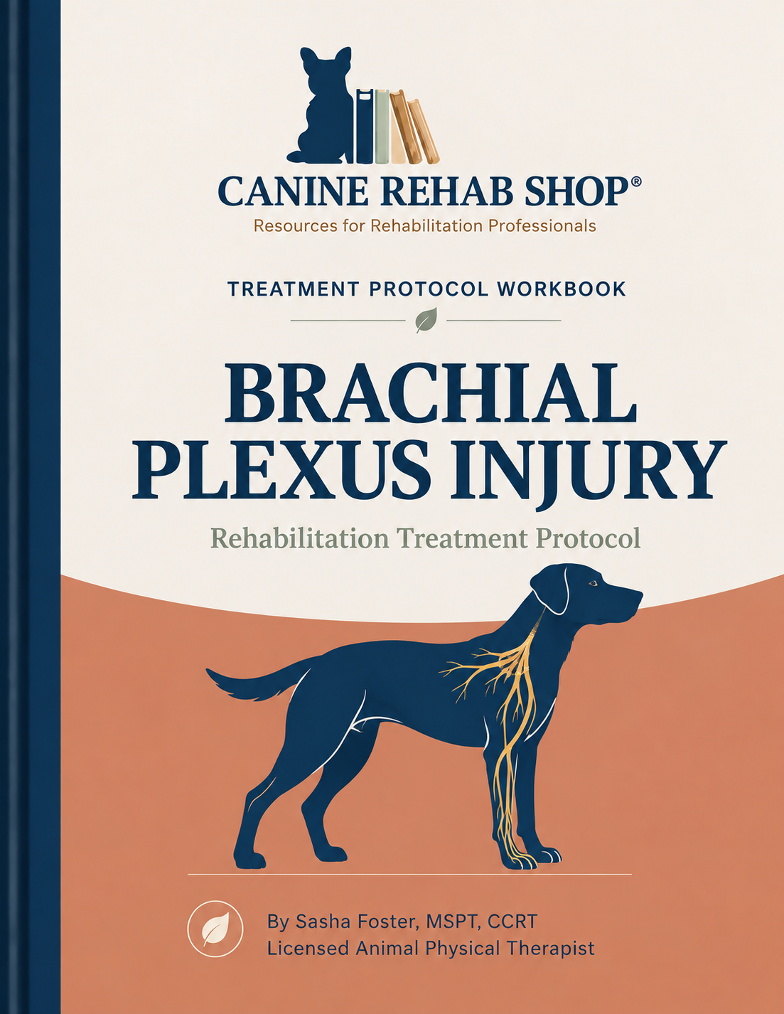 Brachial Plexus cover.png