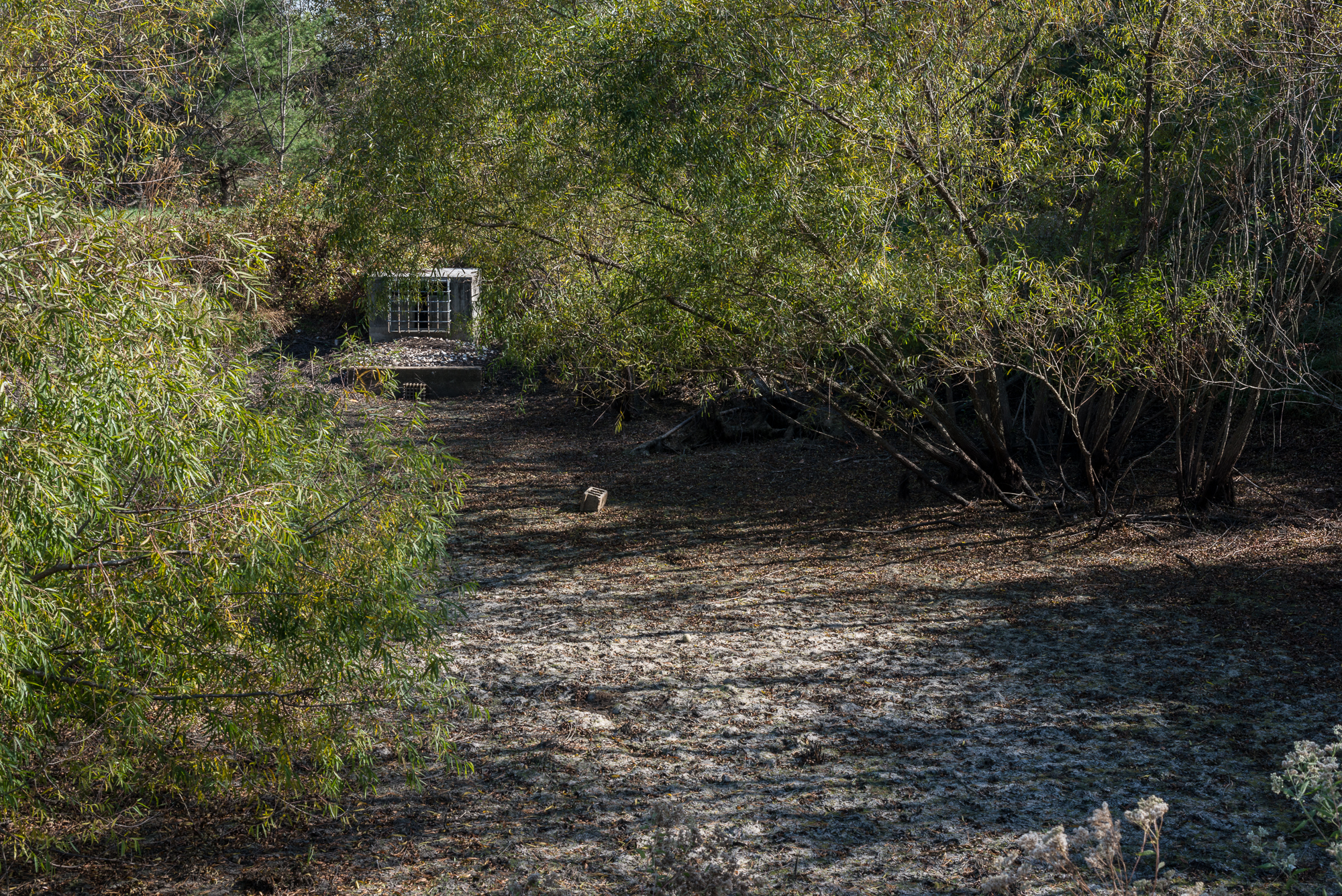 Retention Pond, Ellicott City, Maryland, 2016