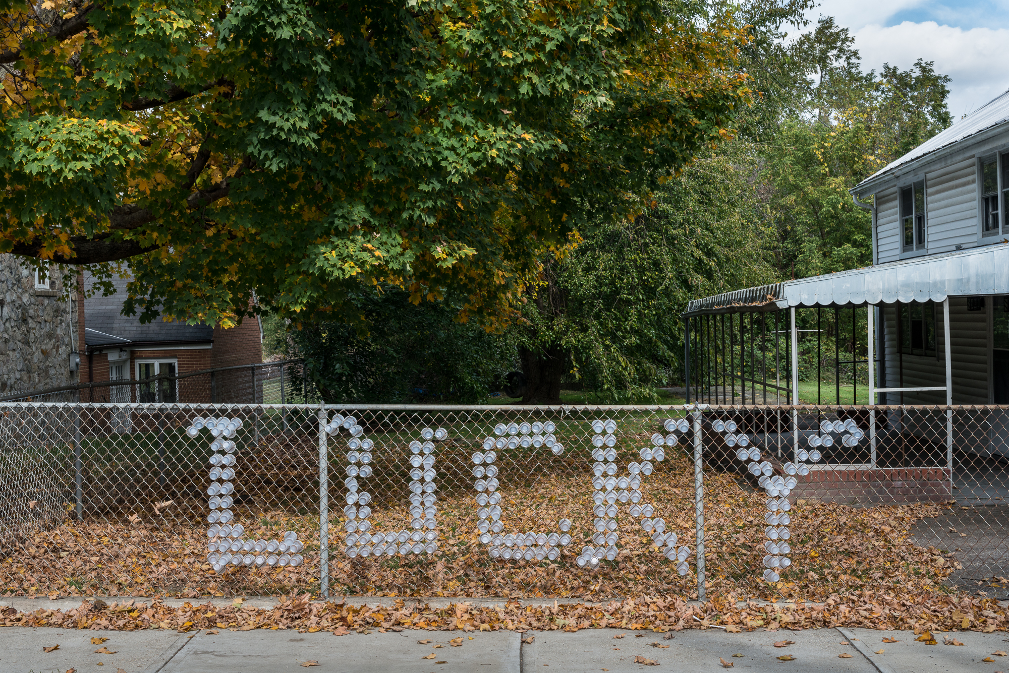 Lucky, Wardensville, West Virginia, 2015