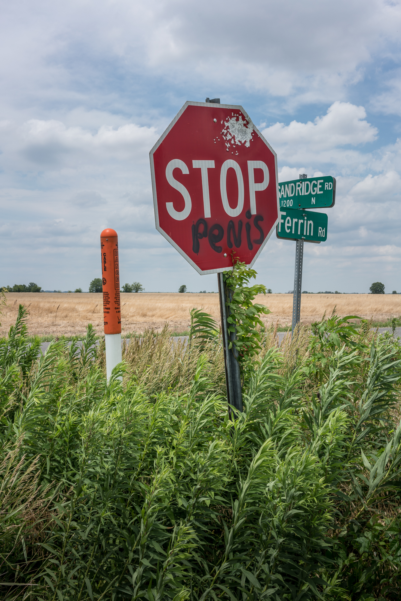 Stop Penis, near Centralia, Illinois, 2017