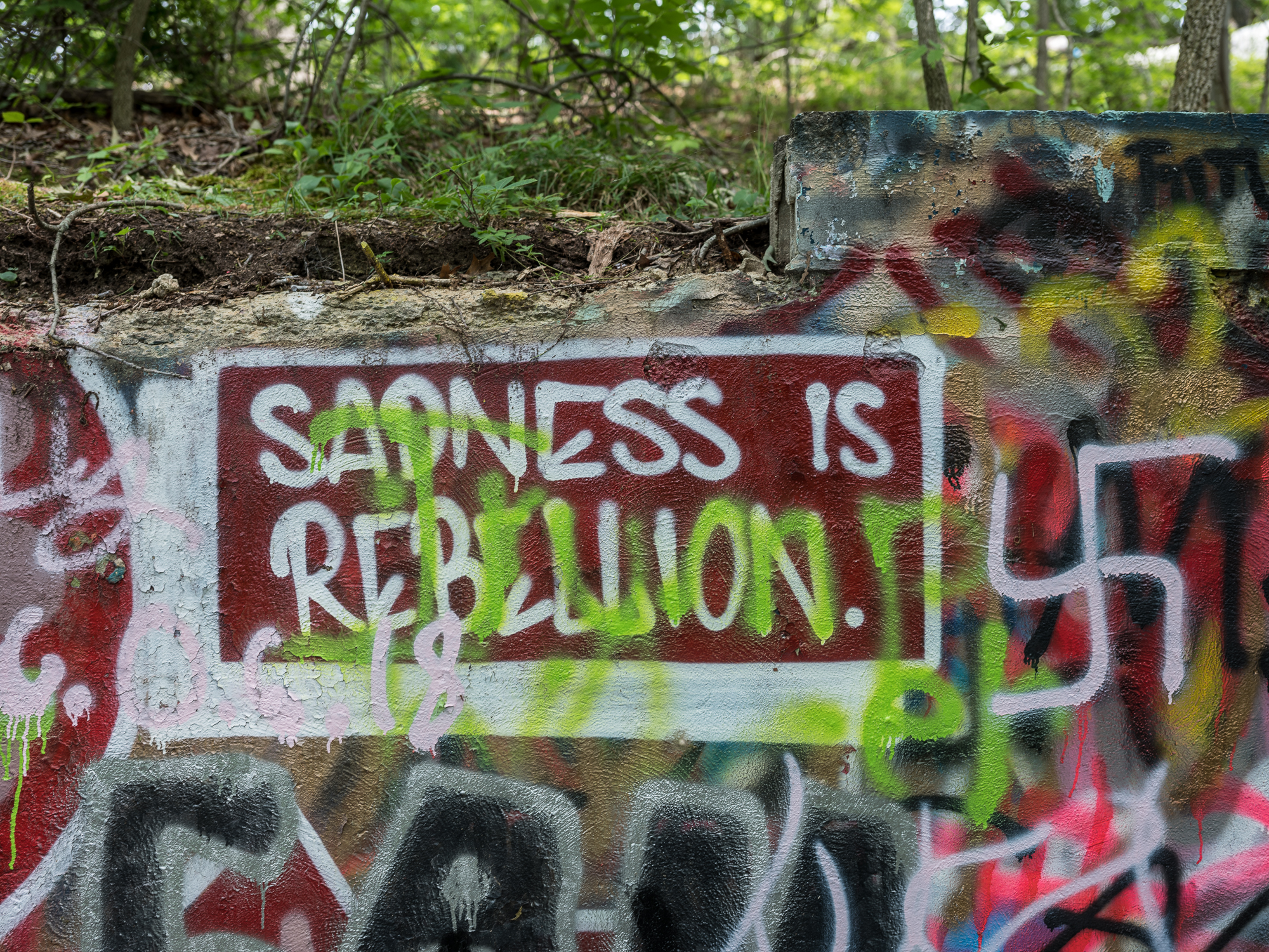 Sadness is Rebellion, Bloomington, Indiana, 2018