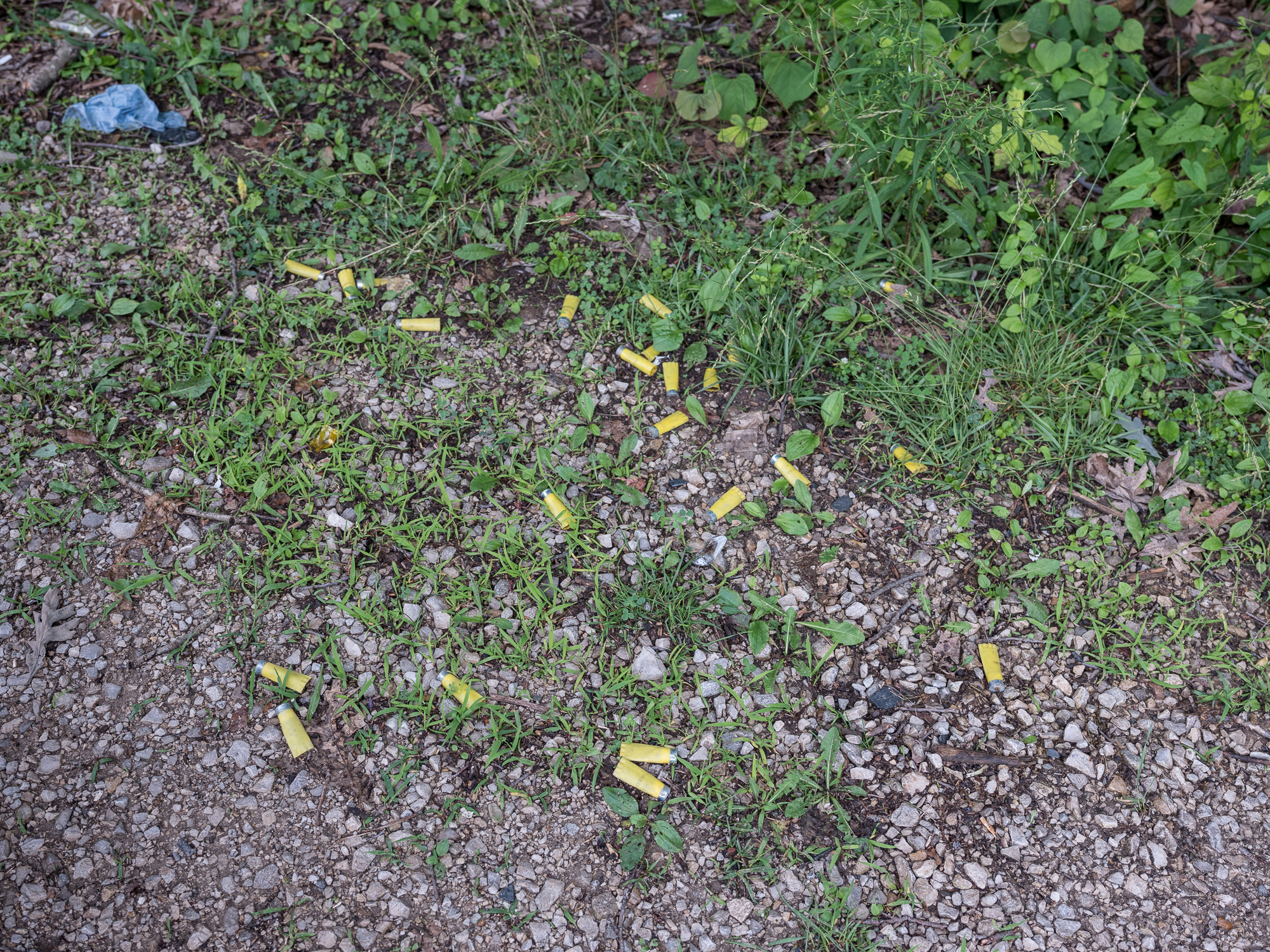 Shotgun Shells, near Empire Quarry, near Bloomington, Indiana, 2018