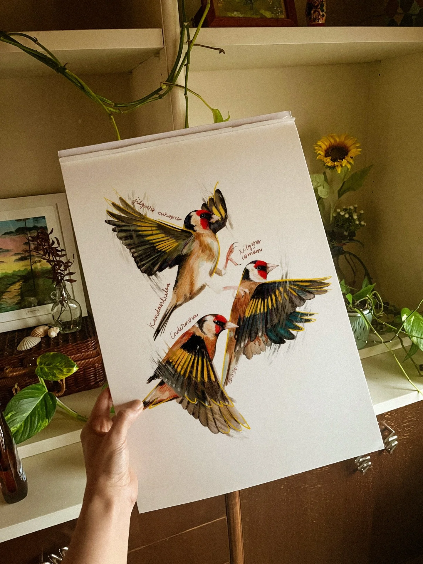 11 Abril 🌱🦉&nbsp;Taller de ilustraci&oacute;n en @hide9pins 

Venid a dibujar conmigo a este rinc&oacute;n tan incre&iacute;ble, donde nos centraremos en aprender a que nuestros l&aacute;pices capten mucho en poco tiempo. El objetivo es llegar a se