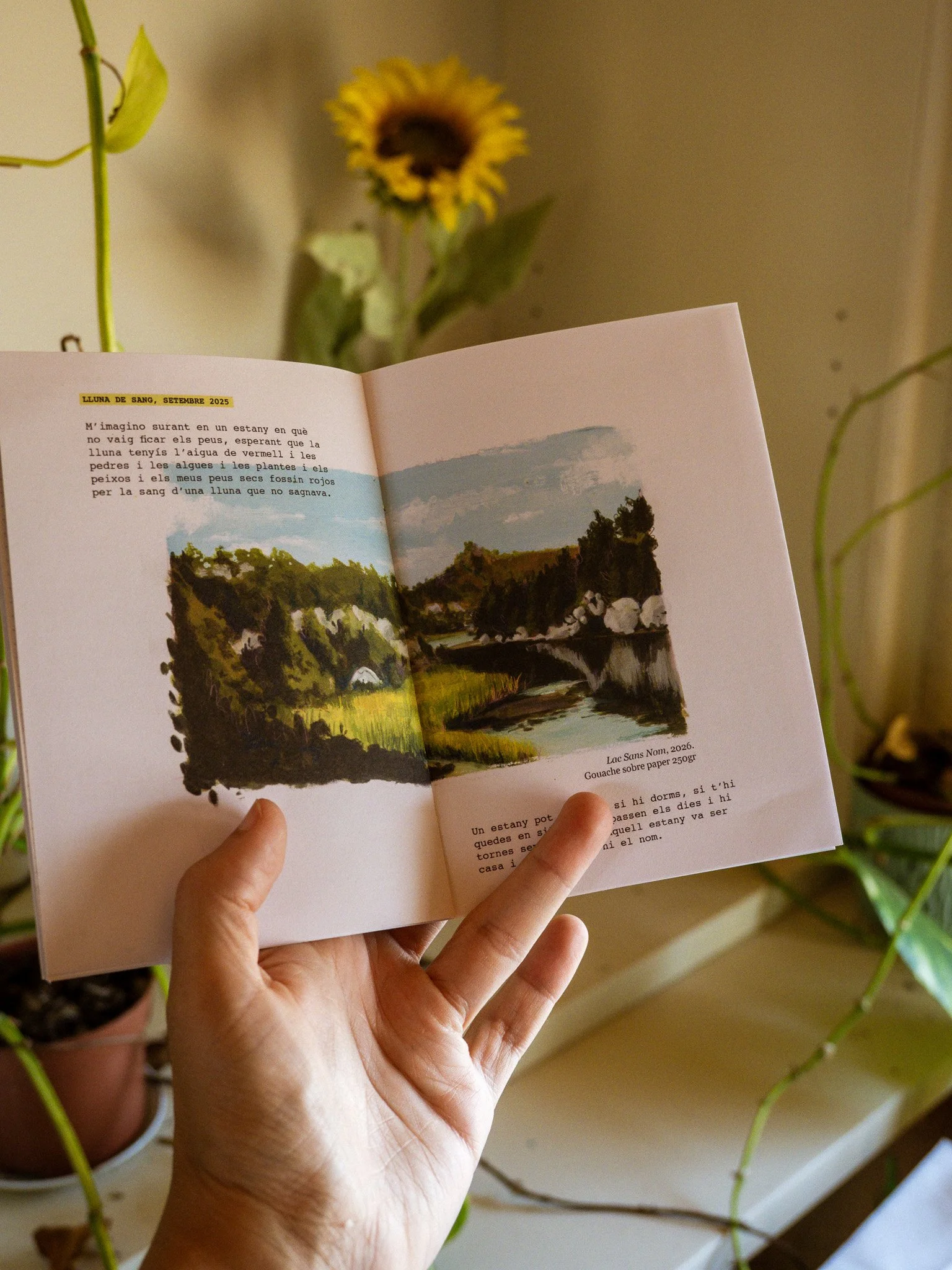 P5291386-2.jpg