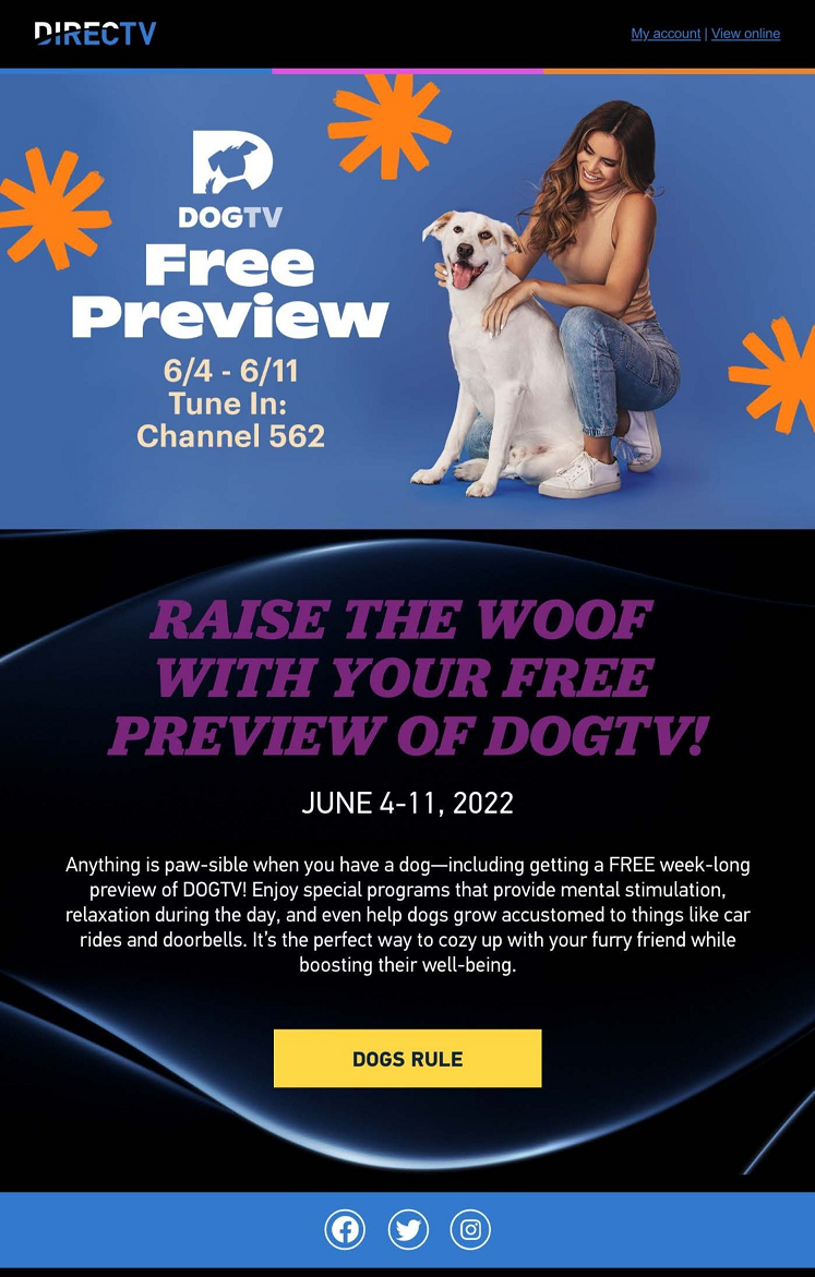 Dog TV free preview - forty percent.png