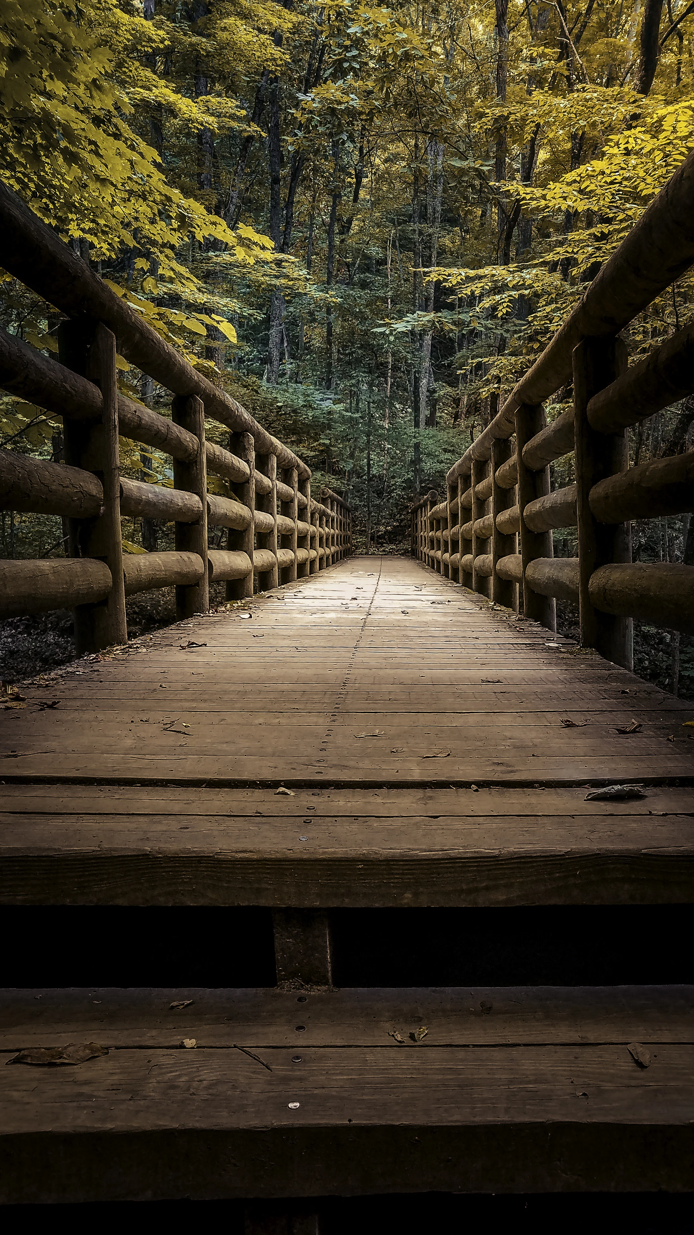 Cascades Bridge 2.jpg